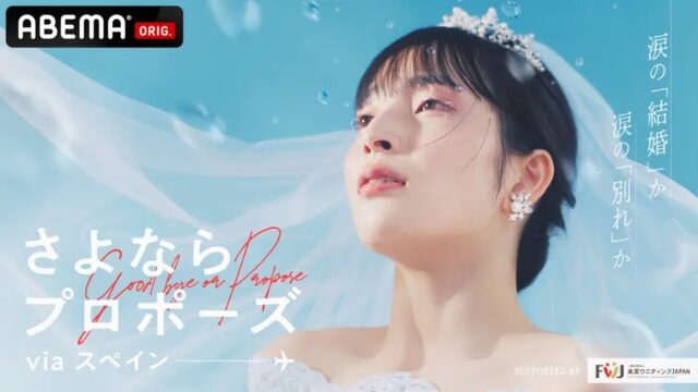 さよならプロポーズviaスペイン　カップル　その後　結婚　破局　最終回　感想