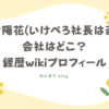 池田陽花　いけぺろ社長　はるか　会社　どこ　経歴　wikiプロフィール