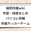 植田玲雄 wiki 学歴 パリコレ サッカーチーム 経歴